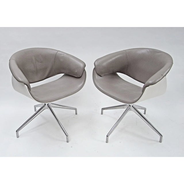Gray Sina Armchairs by Uwe Fischer for B&B Italia, 2004, Set of 2 For Sale - Image 8 of 16