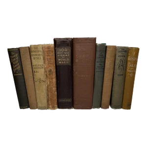 Browns and Tans Vintage Book Set - 10 Pieces
