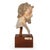 19th Century Italian Polychromed Terracotta Bust of a Saint For Sale - Image 6 of 17
