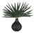 Axis Palm Accent & Vase For Sale