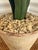 Blue Tommy Mitchell Tole Potted Hyacinth. For Sale - Image 8 of 12