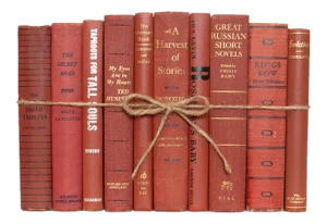 Decorative Books - Vintage Sienna Book Bundle - 1 Foot of Red Books