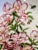 Vintage Chinoiserie “Blossoms of the Japanese Year” Set of Three For Sale In Mobile - Image 6 of 12