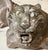 1980s Chinese Soapstone Tiger Scroll Weights - A Pair For Sale - Image 4 of 6