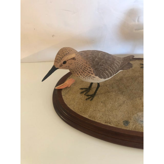 Beautiful hand artisan made sculpture of 3 life like sandpipers on oval wooden platform having sand and shells. Perfect...