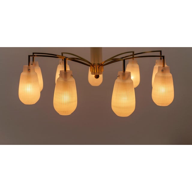 Mid-Century Modern Nine-Armed Brass and Glass Sputnik Lamp, 1950 For Sale - Image 4 of 13