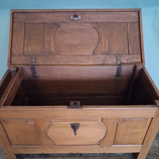 Antique Peasant Trunk in Oak with Iron Fittings, 1800s For Sale - Image 15 of 18