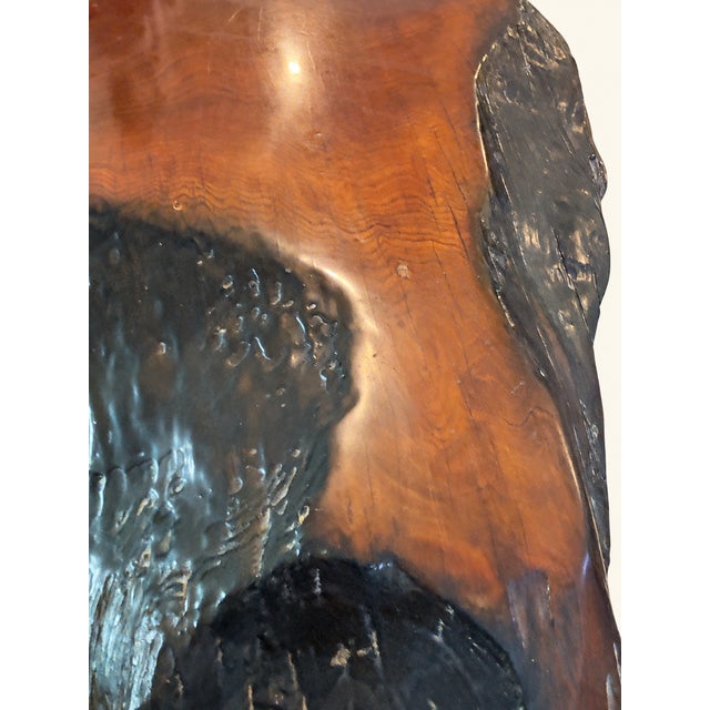 Vintage Organic Modern Redwood Burl Coffee Table For Sale In Los Angeles - Image 6 of 7