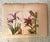 Authentic Charming Set of Seven 19th Century Hand Colored Botanical Flower Prints on Paper For Sale In West Palm - Image 6 of 9