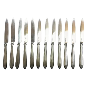 Silver Rib Model Fruit Knives, Netherlands, 1920s, Set of 12