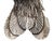 Mid 20th Century Italian St Silver Sparrow Bird Figurine by Buccellati For Sale - Image 5 of 10