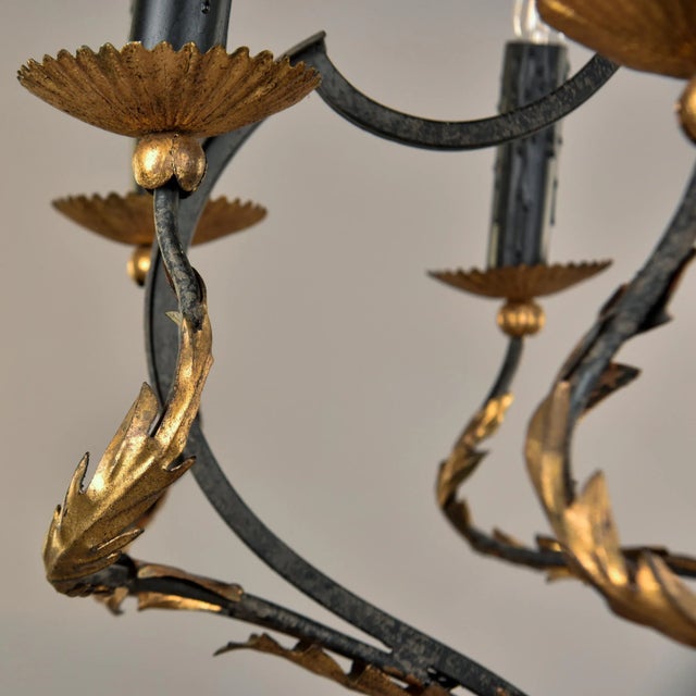 Mid-Century Modern Vintage Italian Black and Gilt Tole Eight Light Chandelier For Sale - Image 3 of 12