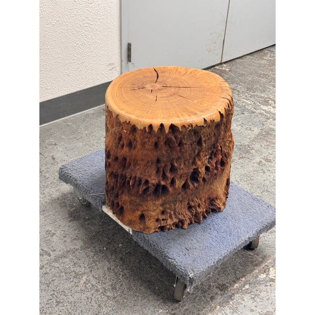 Organic Modern Live Edge Tree Side Table/Stool For Sale - Image 4 of 12