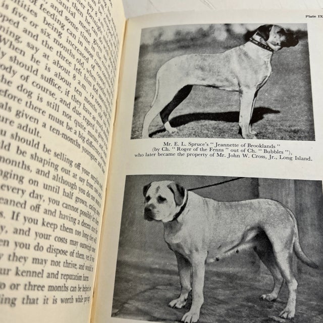 1950s 1957 The Bull Mastiff Handbook Dog Book For Sale - Image 5 of 9