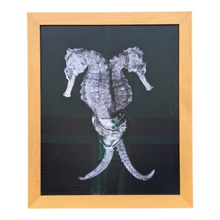2010 Contemporary Seahorse Digital C-Print, Candomble Series, Edition 1/25, by Christian Gaul, Framed For Sale
