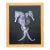 2010 Contemporary Seahorse Digital C-Print, Candomble Series, Edition 1/25, by Christian Gaul, Framed For Sale
