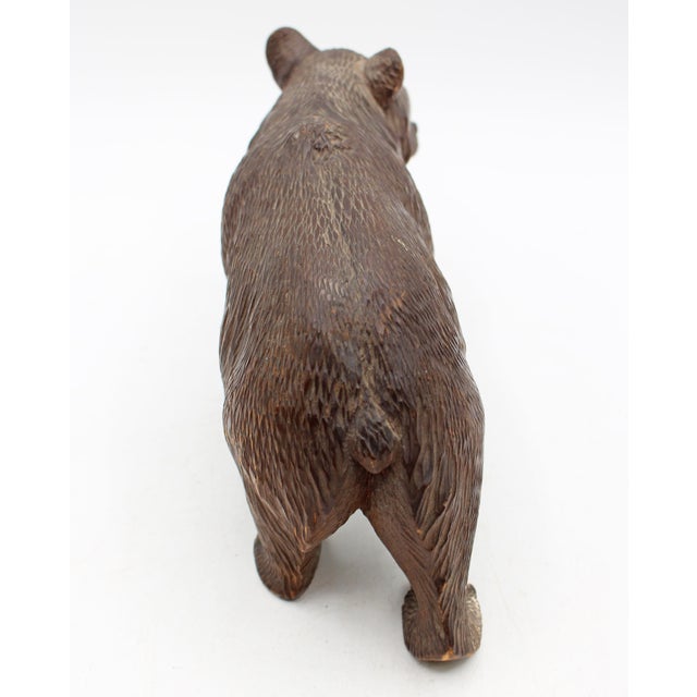 Late 19th Century Swiss Small-Medium Size Strolling Black Forest Bear For Sale - Image 4 of 6