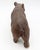 Late 19th Century Swiss Small-Medium Size Strolling Black Forest Bear For Sale - Image 4 of 6