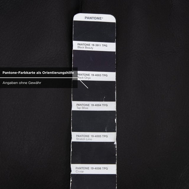 Set of Metal and Leather 6500 Armchair and Ottoman from Rolf Benz For Sale - Image 12 of 18