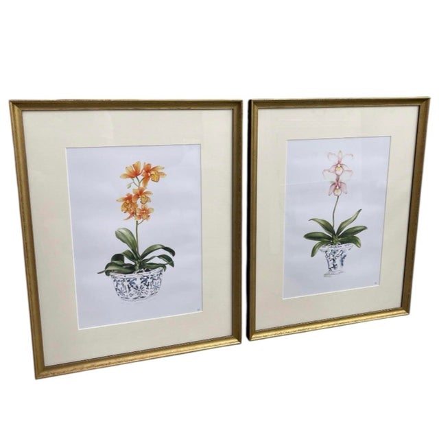 Bring timeless botanical charm to your space with this elegant pair of vintage framed orchid prints. Capturing the classic...