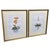 Bring timeless botanical charm to your space with this elegant pair of vintage framed orchid prints. Capturing the classic...