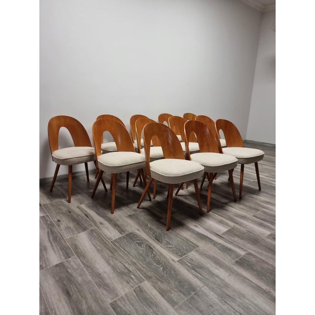 Textile Dining Chairs from Antonin Suman, 1960s, Set of 12 For Sale - Image 7 of 18