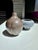 Hand-Thrown Speckled Mocha Brown Glazed Studio Ceramic Vase by Kristian Körting, Germany, 1980s For Sale - Image 9 of 17