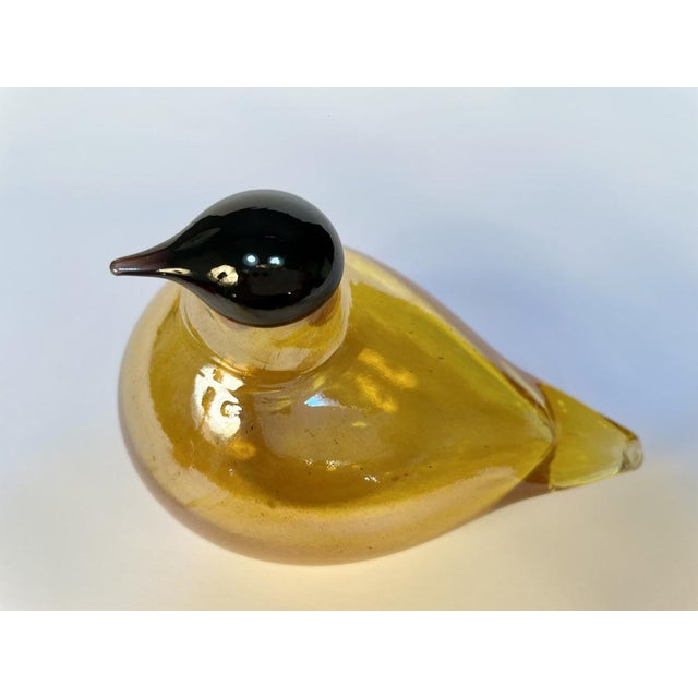 Tirri Mouth-Blown Glass Art Birds by Oiva Toikka for Iittala, Finland 1980s, Set of 2 For Sale - Image 9 of 18