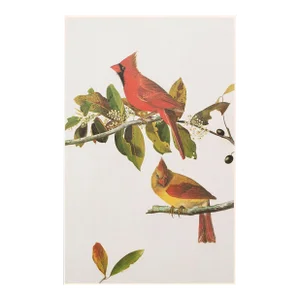 Cardinal Grosbeak After Audubon, 1966 Cottage Print
