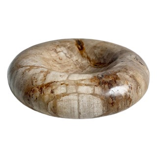 Vintage Organic Modern Petrified Wood Decorative Bowl For Sale