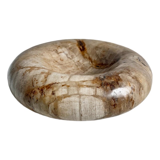 Vintage Organic Modern Petrified Wood Decorative Bowl For Sale