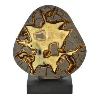 Septarian Stone Slab with Display Stand For Sale
