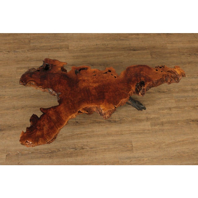 Mid Century Modern Live Edge Driftwood Coffee Table For Sale - Image 4 of 12