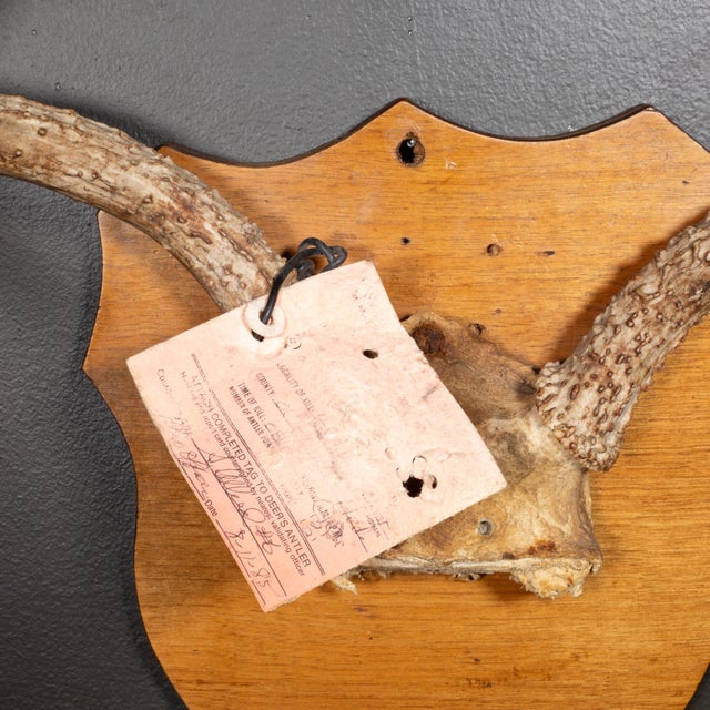 ABOUT Vintage mounted dear antlers on a wooden plaque with original tag. CREATOR Unknown DATE OF MANUFACTURE c.1985....