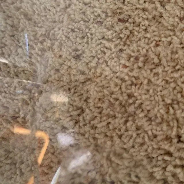 1960s Plia Folding Chairs, by Giancarlo Piretti for Anonima Castilli, Set of Four (4) For Sale - Image 18 of 18