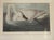 John James Audubon John James Audubon Art Print - Trumpeter Swan For Sale - Image 4 of 10