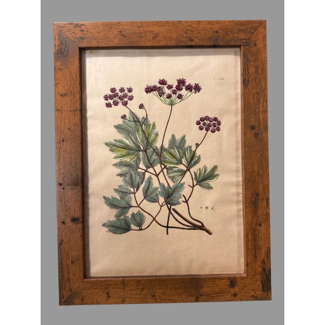 Antique Custom Rustic Country Framed Botanical Flower Print For Sale - Image 6 of 8