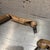 Mid-Century Modern Vintage Wooden Mannequin Arms Set Industrial Mid-Century Modern For Sale - Image 3 of 8