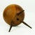 Brown Mid-Century Austrian Walnut Candleholder attributed to Carl Auböck, 1950s For Sale - Image 8 of 12