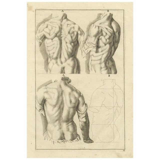 After De Lairesse, Anatomical Back Studies Academic Figure, 1745, Paper For Sale - Image 10 of 10