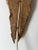 Swedish Folk Art Wood Wall Sconce with Birch Bark Shade, 1950 For Sale - Image 15 of 16