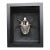 Framed Eastern Goliath Beetle Specimen in Glass Shadow Box For Sale