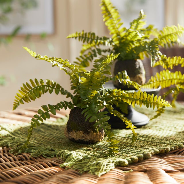 Metal Boston Fern Drop-Ins, Set Of 3 For Sale - Image 7 of 7