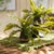 Metal Boston Fern Drop-Ins, Set Of 3 For Sale - Image 7 of 7