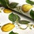 Schumacher Sample - Schumacher x Johnson Hartig Le Citron Fabric in Ivory For Sale - Image 4 of 5