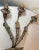 Wood Antique Ornate 19th Century Italian Gilt Wooden Electrified Wall Sconce Fixture For Sale - Image 7 of 14