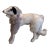 1900s Borzoi Bru Kestner Jumeau Bleuette Fashion Doll Germany Label 4” Fur Salon Dog For Sale
