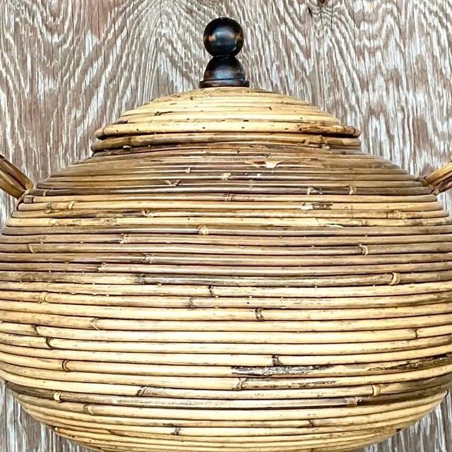 Vintage Coastal Pencil Reed Lidded Urn For Sale - Image 9 of 12