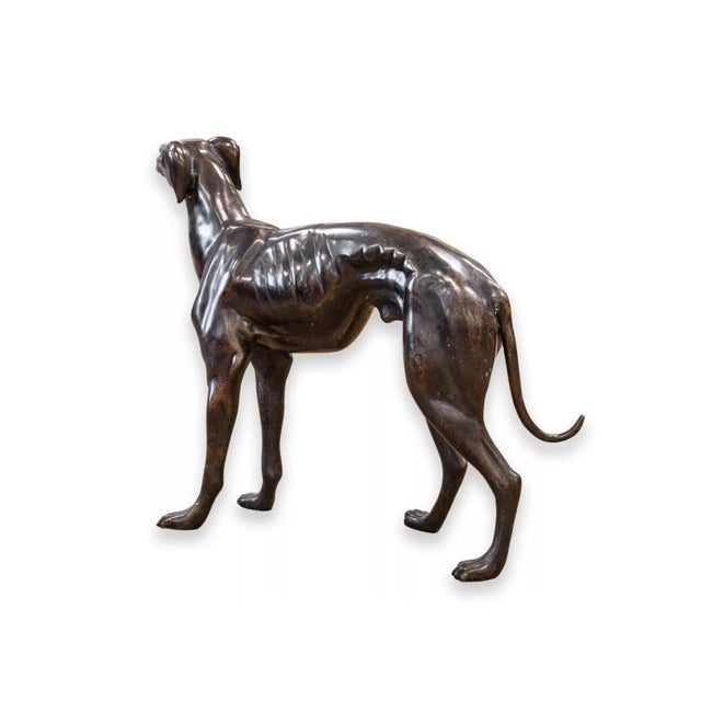 Traditional Sadows Bronze Whippet or Greyhound Dog Life Sized Sculpture For Sale - Image 3 of 10