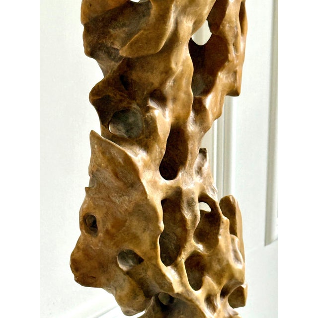 Tall Elegant Chinese Scholar Rock Yellow Taihu Stone on Wood Stand For Sale - Image 15 of 18